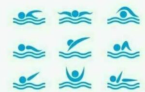 Créneaux des séances de natation 2023-2024
